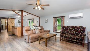 Televisie, een open haard, een dvd-speler en een filmbibliotheek