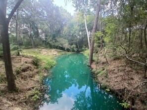 Zona boscosa con un arroyo de agua cristalina.