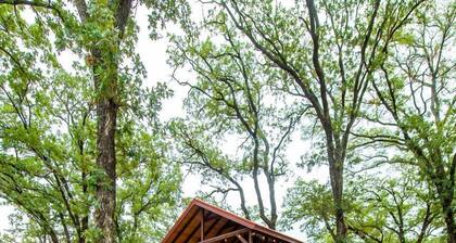Beautiful Treehouse Glamping Site, Near Magnolia, Texas