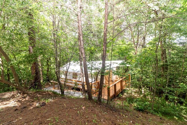A forested area with a wooden deck and a white building.