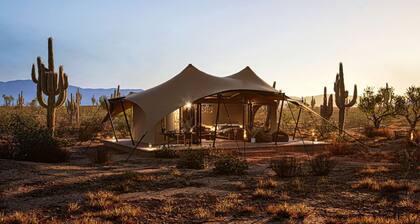 Exclusive Luxury Glamping Retreat on Historic Ranch near Saguaro National Park, Arizona