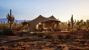 Acomodação em tenda no deserto, com interior espaçoso, rodeada por cactos e vegetação rasteira.