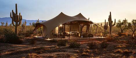 A desert tent-style accommodation with a spacious interior, surrounded by cacti and sparse vegetation.