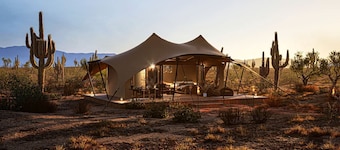 Exclusive Luxury Glamping Retreat on Historic Ranch near Saguaro National Park, Arizona