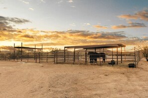 A fenced stable area with a horse, a covered shelter, and a dirt ground.
