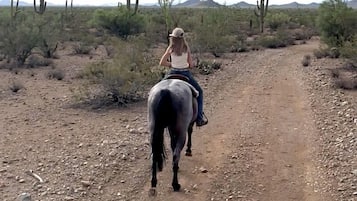 A person riding a horse on a dirt path in a desert landscape with sparse vegetation and cacti.