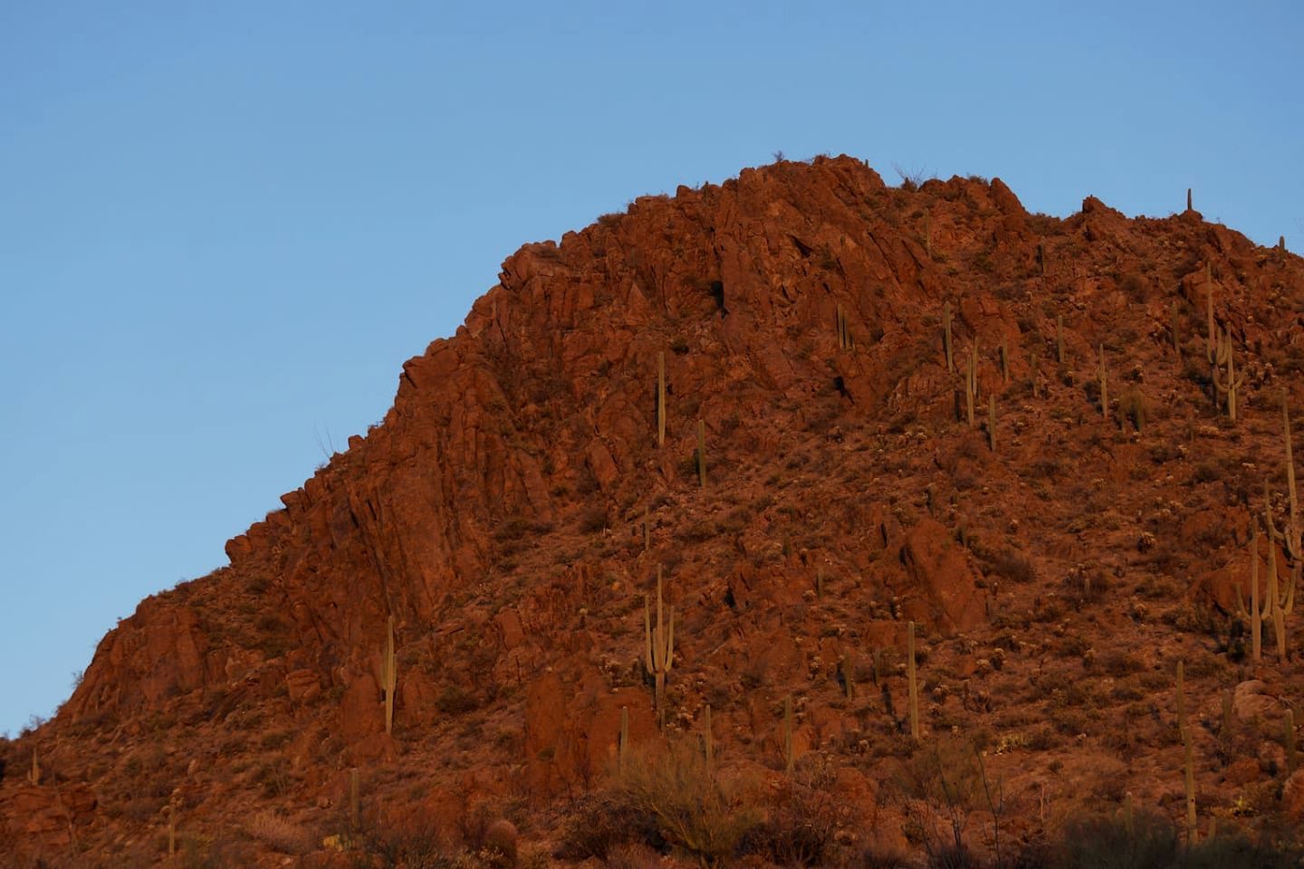 Un monte roccioso e rossastro con vegetazione rada e pali di legno.