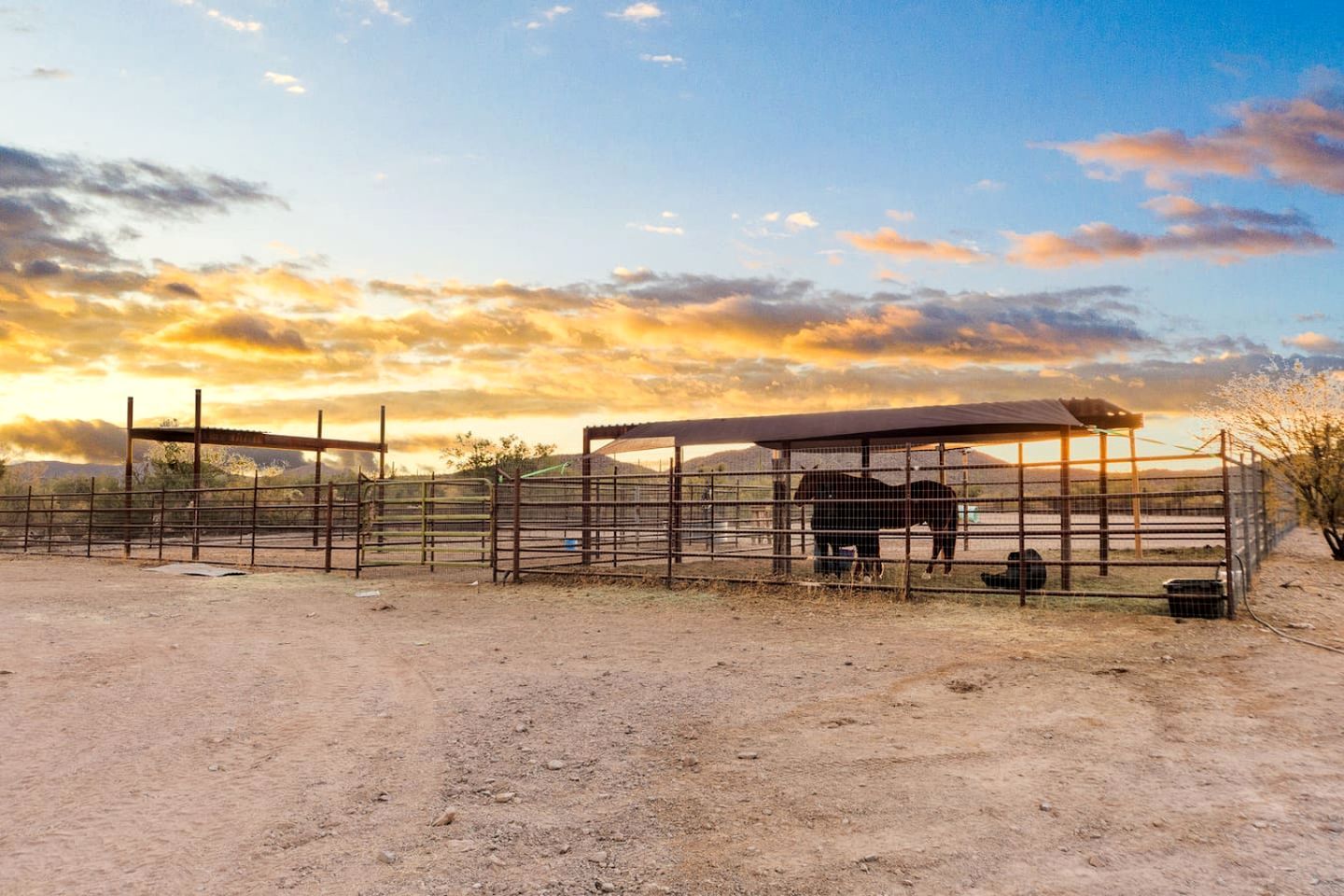 Un espace abrité pour les chevaux, délimité par une clôture, comprenant un abri couvert et un sol en terre.