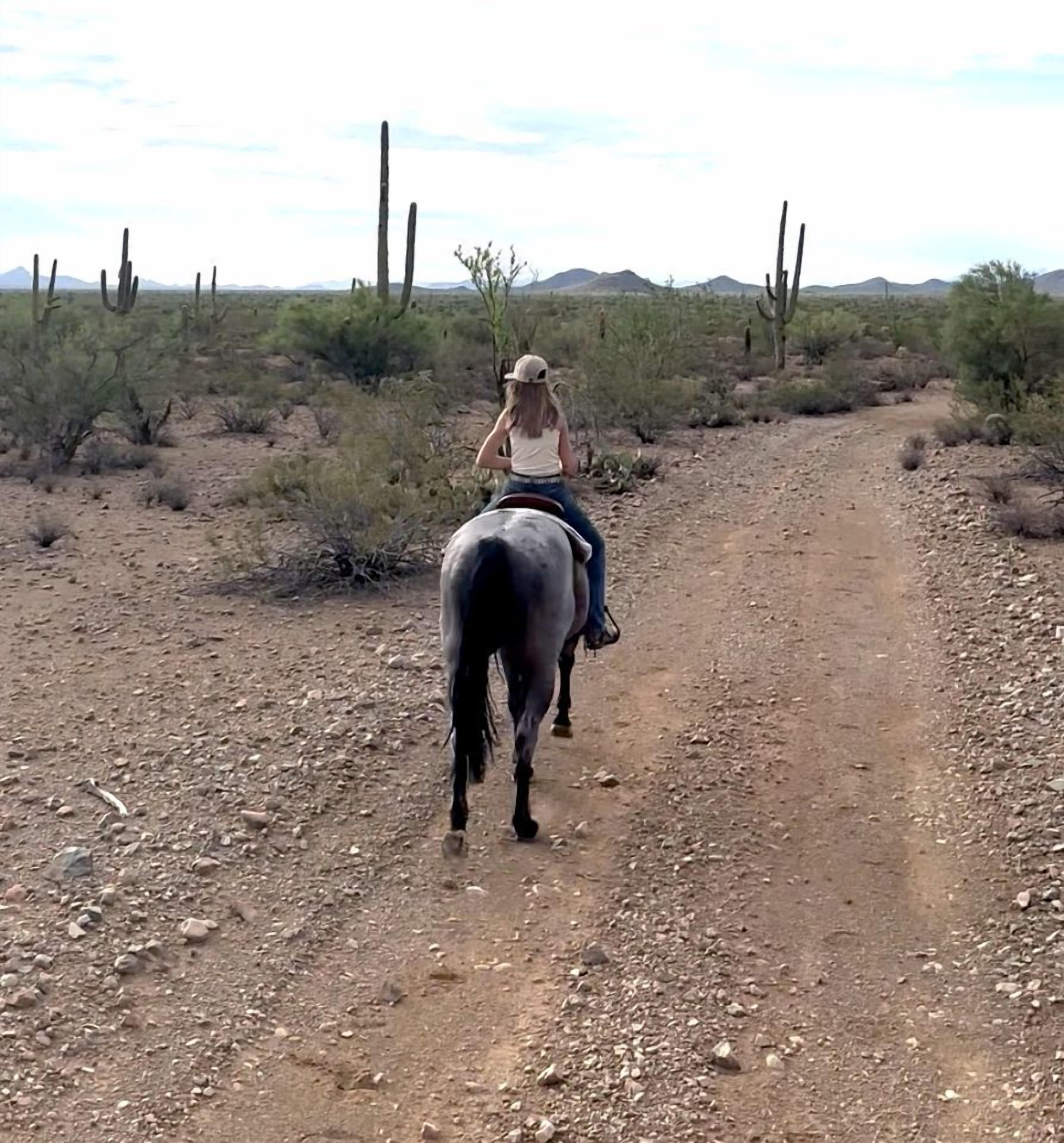 A person riding a horse on a dirt path in a desert landscape with sparse vegetation and cacti.