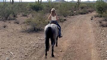 A person riding a horse on a dirt path in a desert landscape with sparse vegetation and cacti.