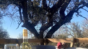 Une table dressée pour un pique-nique avec une bouteille de vin, un verre et une assiette de collations, avec un jacuzzi et un arbre en arrière-plan.