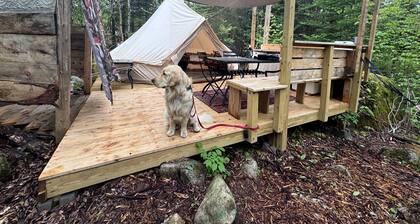 Canvas Bell Tent in the Woods in Hardwick, VT