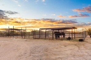 A fenced stable area with a horse, a covered shelter, and a dirt ground.