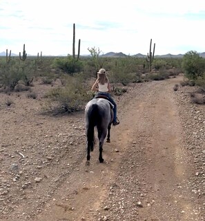 A person riding a horse on a dirt path in a desert landscape with sparse vegetation and cacti.