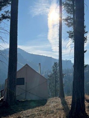 Vista desde la propiedad