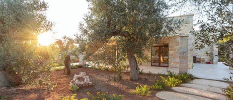 Enceinte de l’hébergement