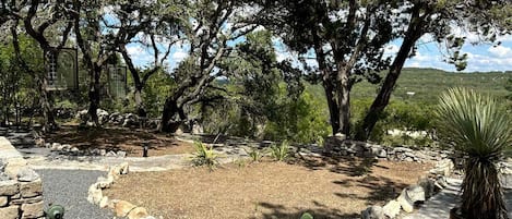 A landscaped garden with trees, a cactus, and a stone pathway.