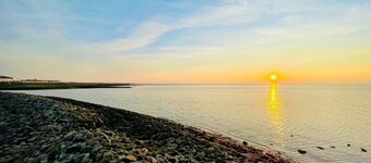 Lüttje Deichvilla Backbord