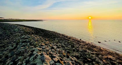 Lüttje Deichvilla Backbord