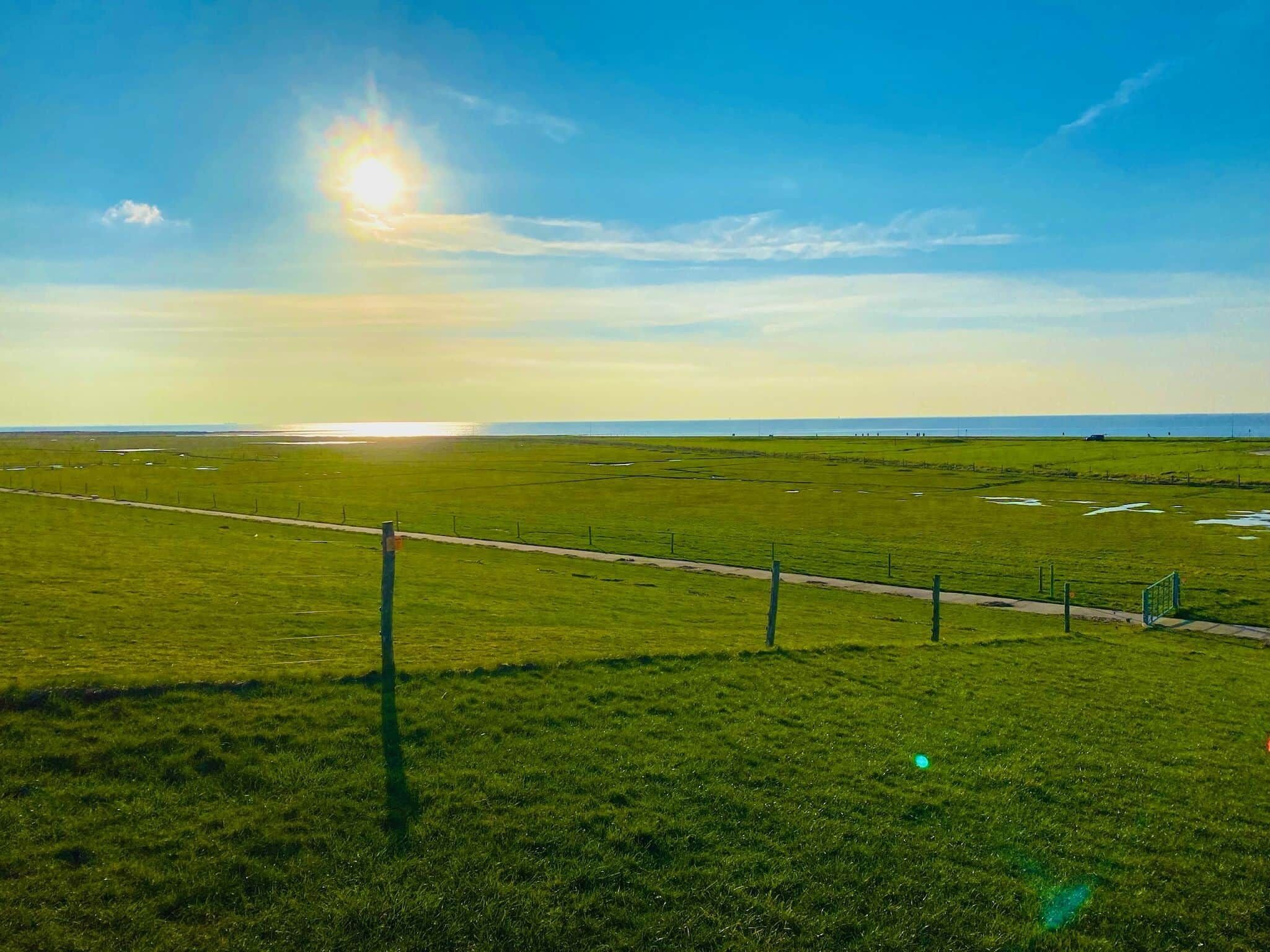 A wide-open field with a fence running through it, a clear sky, and the sun low on the horizon.
