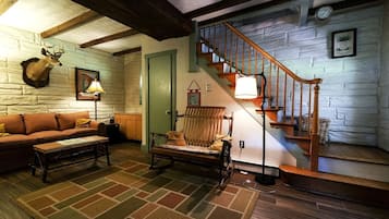 TV, fireplace, DVD player, video library