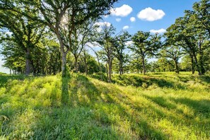 Miscellaneous - Bright Modern Treehouse with Pickleball Court Near LBJ Grasslands | Alvord, Texas (Alvord)