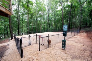 Enceinte de l’hébergement