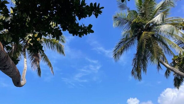 A tropical beach with clear blue water, palm trees, and a boat on the shore. - Ko Lake -Eagle Nest r5 (Ahangama)