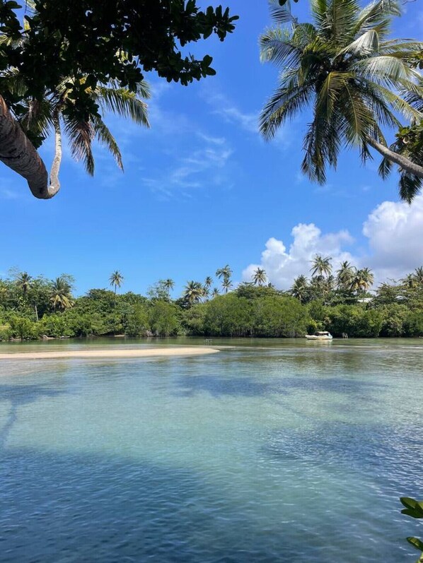Playa en los alrededores