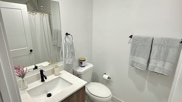 Shower, towels, soap, toilet paper