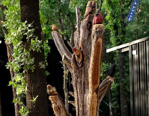 Exterior detail - Enchanted Woodland Cabins by the Mountain in Texas with Private Pond and Scenic Trails (Alvord)