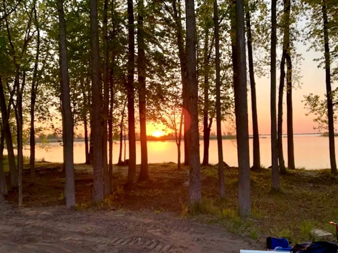 Ett skogsområde med en solnedgång över en vattenyta.