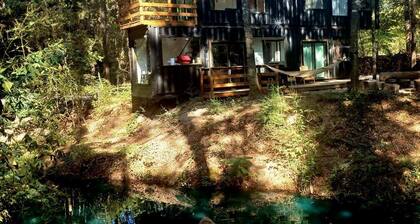 Tranquil Creekside Container with Private Waterfall Near Renaissance Festival | Magnolia, Texas