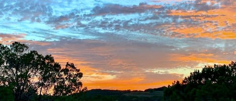 Un atardecer sobre un paisaje boscoso con árboles silueteados contra el cielo.