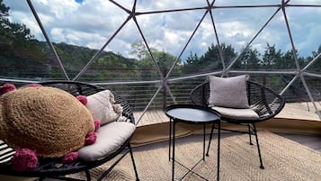 Terras