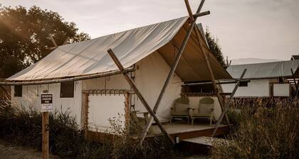 Incredible Safari Tent on a Boutique Glampground for a Fantastic Getaway in Emigrant, Montana