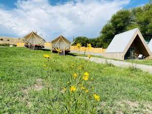 A campsite with several tents and a single cabin.