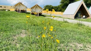 A campsite with several tents and a single cabin.