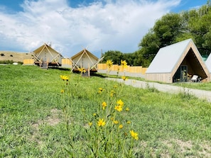 A campsite with several tents and a single cabin.