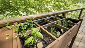 A wooden raised garden bed with plants, a wooden deck railing, and a view of trees in the background.