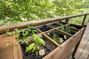 A wooden raised garden bed with plants, a wooden deck railing, and a view of trees in the background. - Spectacular Dome Surrounded by Beautiful Nature in North Carolina (Creston)