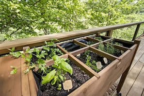 Ein erh öhter Gartenbeet aus Holz mit Pflanzen, ein Holzdeckgeländer und Bäume im Hintergrund.