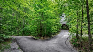 Property grounds - Secluded Cozy Wooden Cabin in Fort Payne, Alabama (Fort Payne)