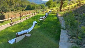 Property grounds - Historic farmhouse in the Alexandrian countryside near Aqui Terme (Bistagno)