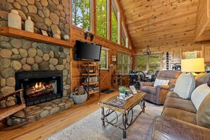 TV, fireplace, DVD player, video library