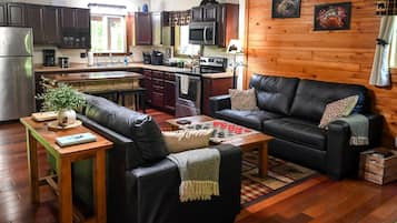 电视、壁炉、DVD 播放器、影片库