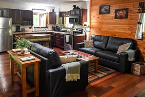 电视、壁炉、DVD 播放器、影片库