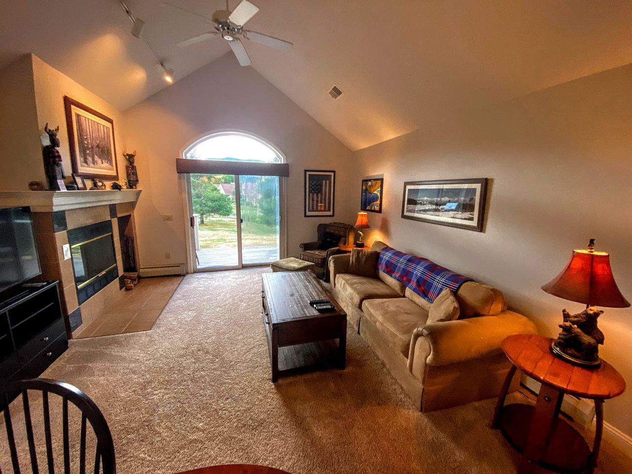 TV, fireplace