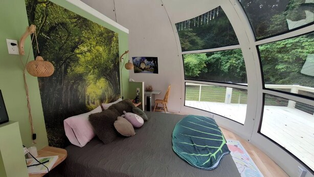 1 bedroom, WiFi, bed sheets - Fiberglass Geodesic Dome on a Hundred Acres of Private Woodlands near Lake Sinclair, Georgia (Milledgeville)