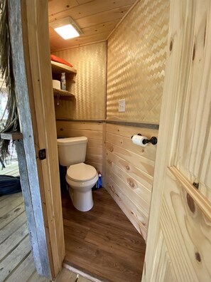 Secadora de cabello, toallas, papel de baño 